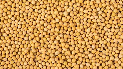 数百万吨美国大豆已运往中国(1)