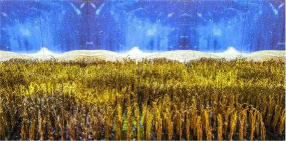 朱炳仁的秋诗：大美如秋(1)