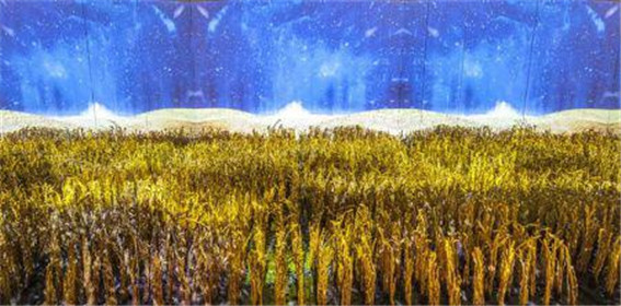 惊讶！西湖边竟然隐藏着一座铜宫，还免费参观？(12)