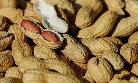 心累吃梨，腿累吃柿子，眼睛累了吃什么？(4)