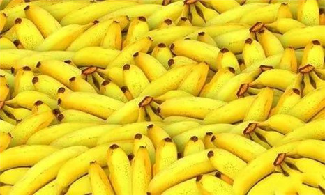 心累吃梨，腿累吃柿子，眼睛累了吃什么？(5)