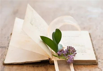 2020年高等教育自学考试各主考院校实践环节考核及论文答辩安排（11）(1)