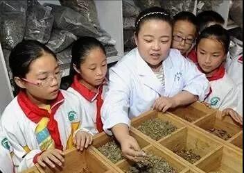 央台重磅消息：小学五年级开始学中医(5)