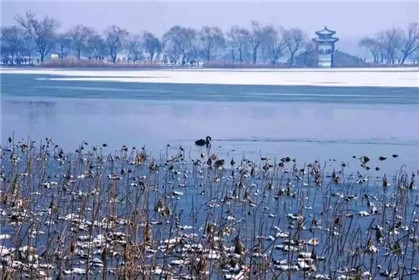 钟南山：免疫力是最好的医生，用8个简单的方法激活它(1)