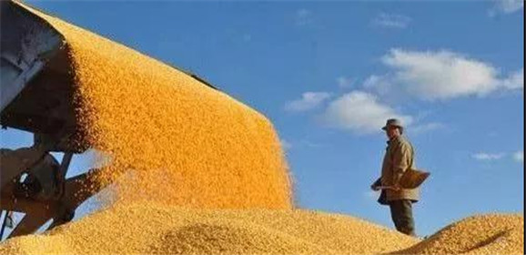 三部委紧急通知：解除农村封路，加快养殖业复工复产！(1)