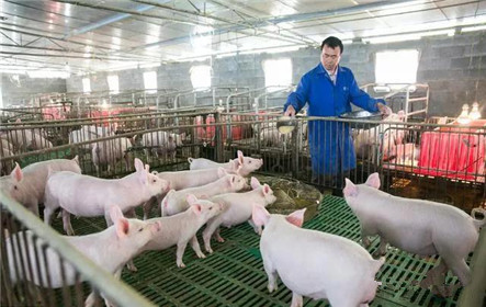 三部委紧急通知：解除农村封路，加快养殖业复工复产！(3)