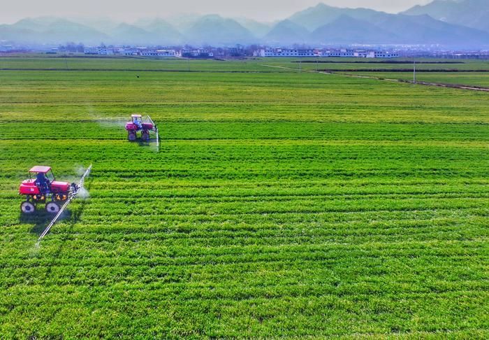 陕西省委、省政府出台了2020年省委一号文件《关于抓好“三农”领域重点工作确保如期实现全面小康的实施意见》(3)