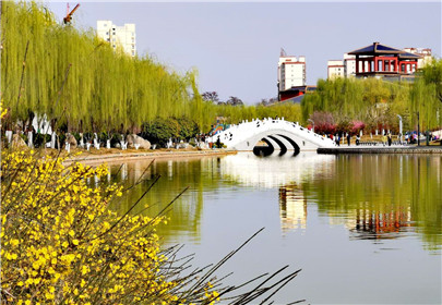 七律·庚子立春(1)