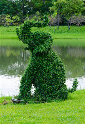 你是树，我是藤(外二首)(1)