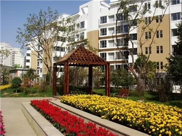 铁岭县重拳出击整治浅水湾违法私搭乱建(3)