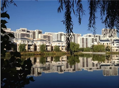 铁岭县重拳出击整治浅水湾违法私搭乱建(4)