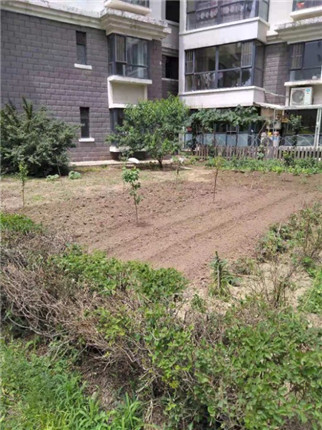 铁岭县重拳出击整治浅水湾违法私搭乱建(6)