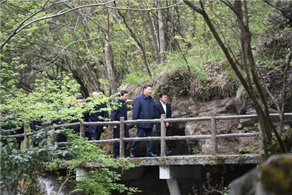 习近平在陕西考察秦岭生态保护情况(2)