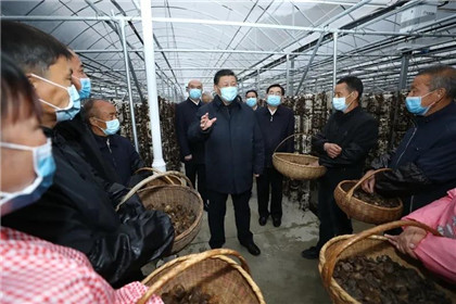 习近平在陕西考察秦岭生态保护情况(4)