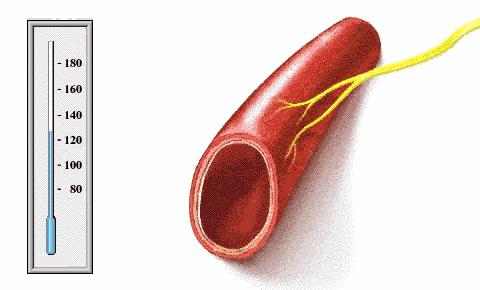 此豆一把抵万千药方，夏天清血管、降三高没它不行！(2)