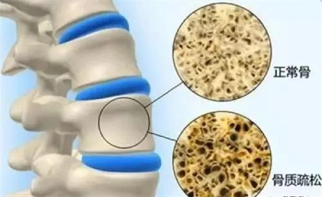 此豆一把抵万千药方，夏天清血管、降三高没它不行！(3)