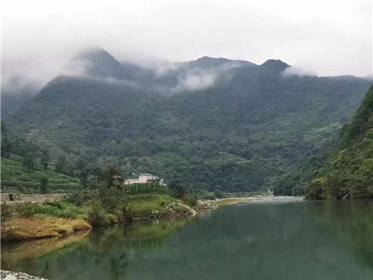 母亲的呼唤—《经济聚焦》总顾问张永虎随笔(2)