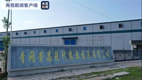  中储粮黑龙江肇东青冈荣昌收储库点一次性储备玉米核查情况公布(1)