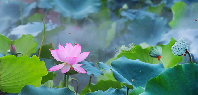 诗人刘爱虎诗四首(1)