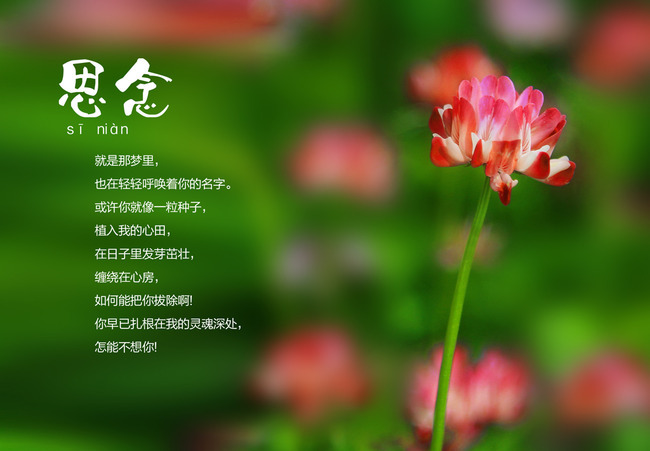 诗人刘爱虎诗四首(2)