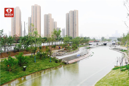 西安这些项目有新进展！(3)