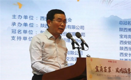 “宝商荟萃•凤鸣镐京”西安市宝鸡商会成立大会在西安隆重举办(7)