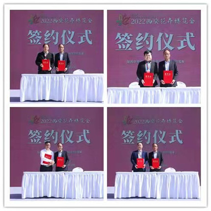 “长乐未央 花开盛世”(图6)