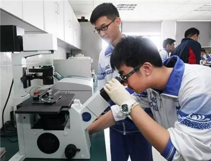 9月起中小学将迎来新模式，“5+4”或正式实施？教育部回应很现实(图4)