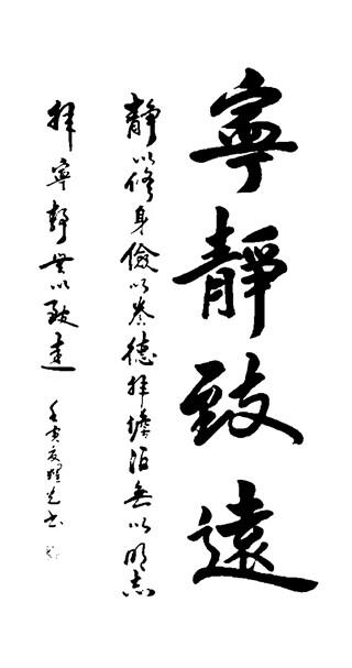 杨耀光书法作品欣赏(图6)