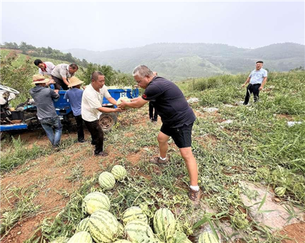 陕西蓝田：驻村工作队赋能马湾村西瓜致富路(图1)