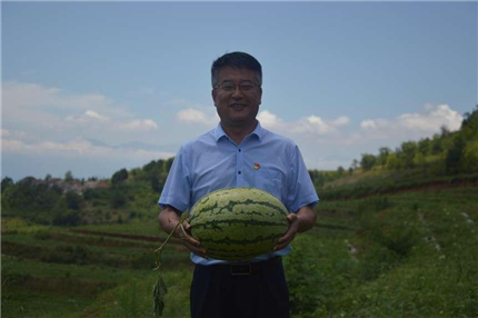 陕西蓝田：驻村工作队赋能马湾村西瓜致富路(图5)