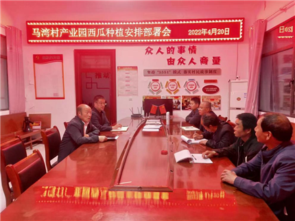 陕西蓝田：驻村工作队赋能马湾村西瓜致富路(图3)