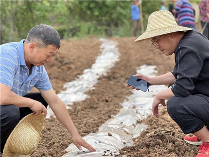 陕西蓝田：驻村工作队赋能马湾村西瓜致富路(图5)