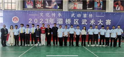 西安市灞桥区武术大赛成功举办(图6)