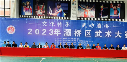 西安市灞桥区武术大赛成功举办(图1)