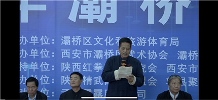 西安市灞桥区武术大赛成功举办(图2)