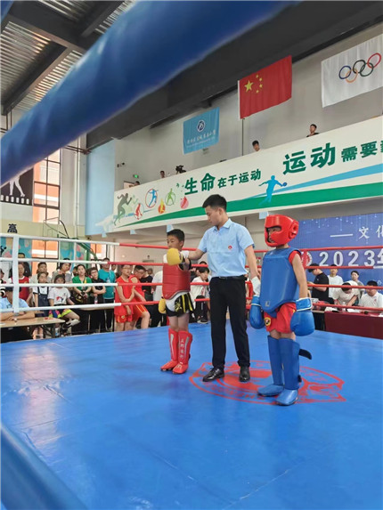 西安市灞桥区武术大赛成功举办(图4)