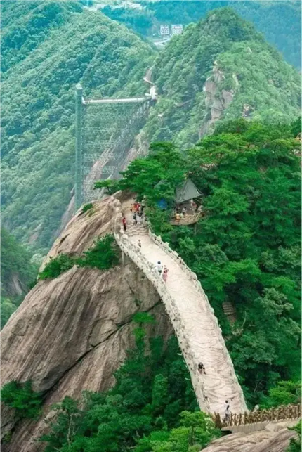 半价!免费!全国多地宣布,就在这一天(1)