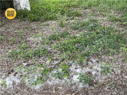 西安正大量出现！风险等级极高！医生提醒(1)