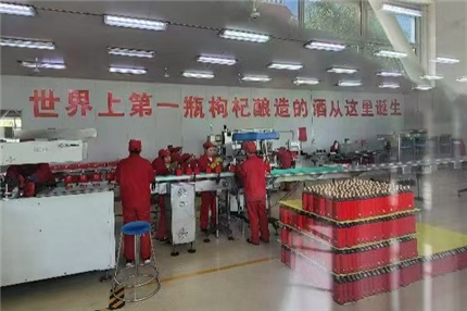 中小企业融通创新专家团调研“宁夏红”(2)