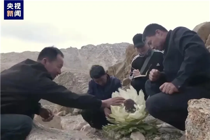 “太气人！”30元的东西卖350元，多地街头已出现(3)