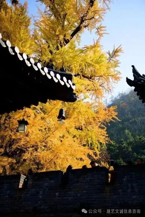 三秦烟火映千年:解码陕西非遗美食的文化密码(3)