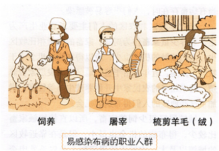 4岁男孩发烧一整年，元凶竟是一杯奶！(3)