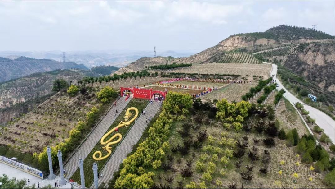 陕西子长:又是一年花开季 山丹笑迎宾客来(7)