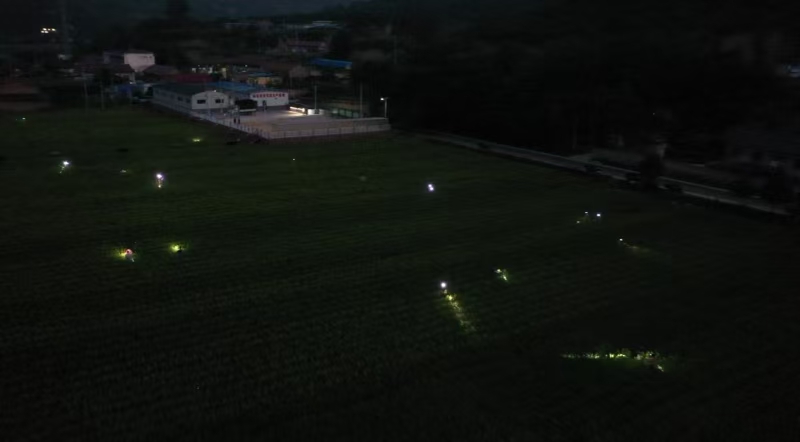 头灯下的“致富舞”——小黄花点亮乡村振兴路(1)