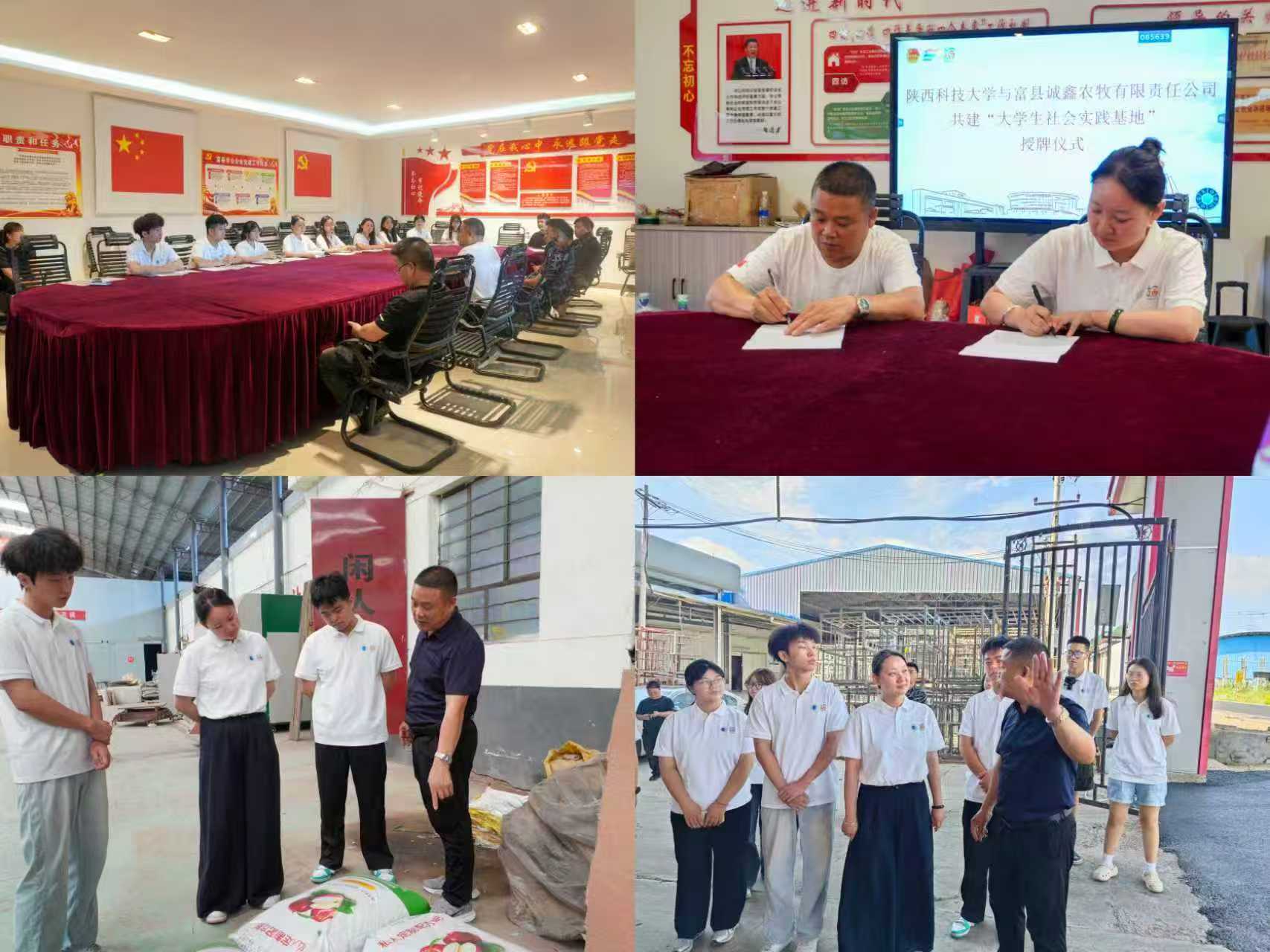 执青春薪火续千年文脉 以非遗匠心绘振兴新篇 (5)