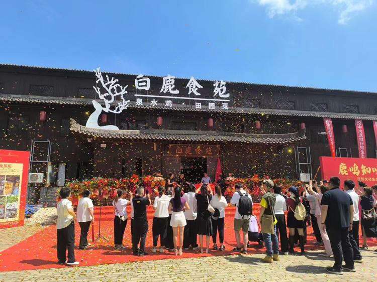 行知文化生态园乡村赋能新地标,绘就“教研农文旅”融合新图景(1)