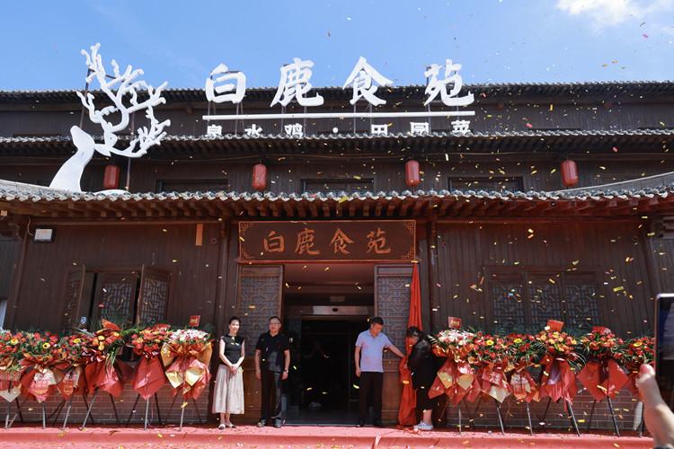 行知文化生态园乡村赋能新地标,绘就“教研农文旅”融合新图景(3)