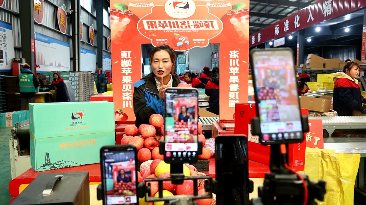 第十八届中国·陕西（洛川）国际苹果博览会新闻发布会举行 (2)