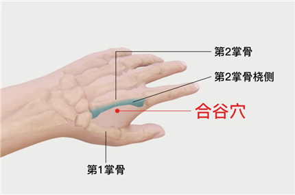 人体手部穴位对应表(1)